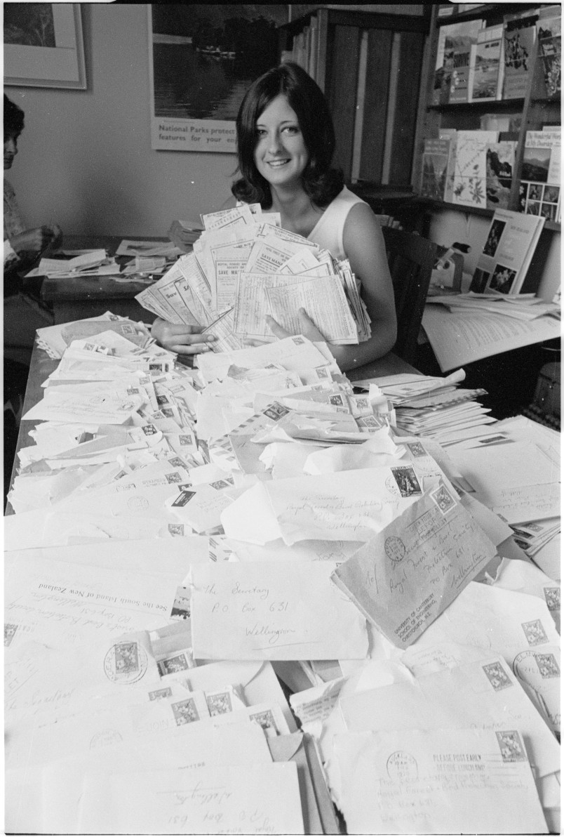 Christine Foxall sorting Manapouri petition forms that were arriving at a rate of 4000 to 5000 a day in 1970. Image Alexander Turnbull Library