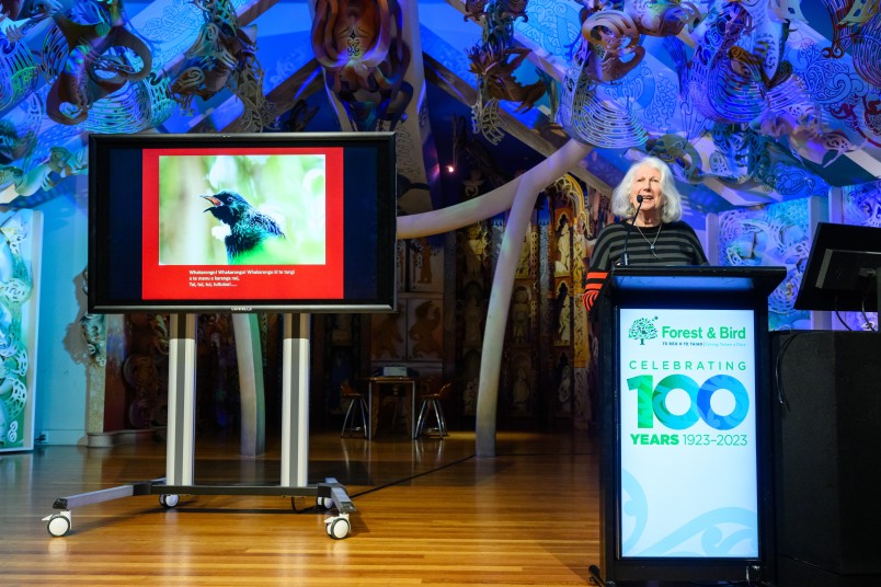 Dame Anne Salmond delivering the Sanderson Lecture July 2023 with Tui slide. Image Mark Coote