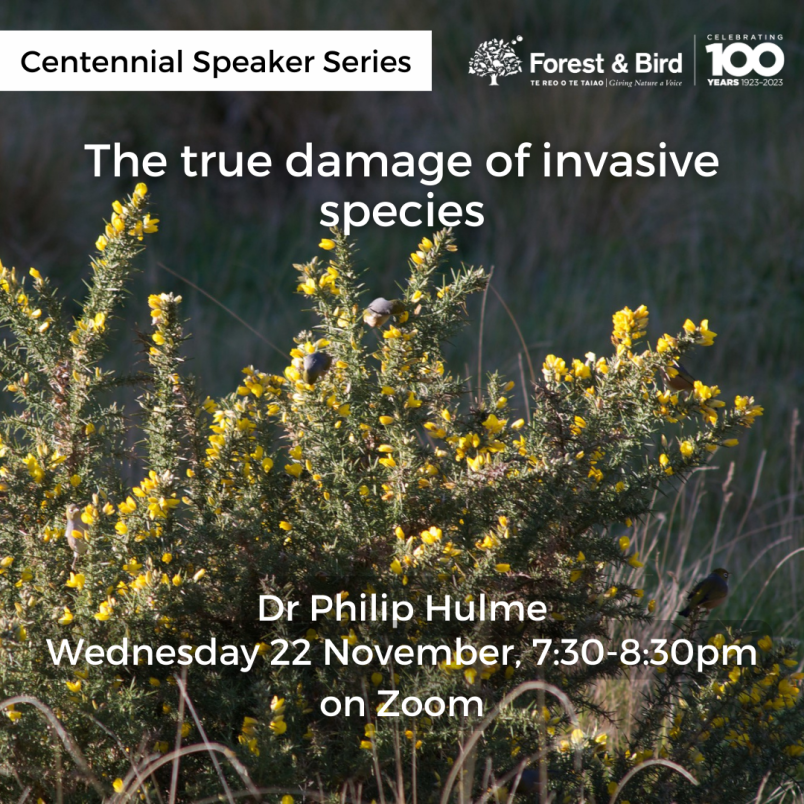 The true damage of invasive species webinar poster