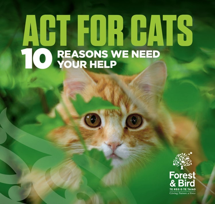 Act for Cats brochure. Image supplied