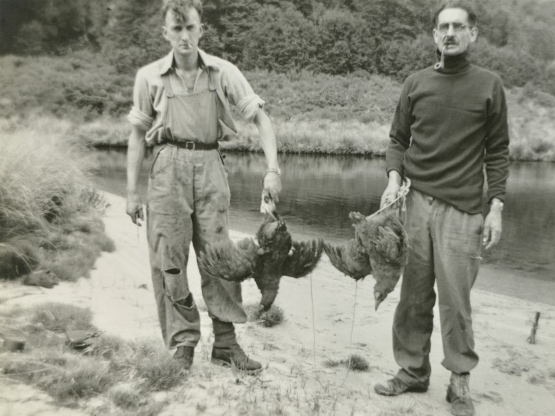 Dr Geoffrey Orbell (right) and Neil McCrostie with pair of live takahē, 1948. Courtesy Orbell family