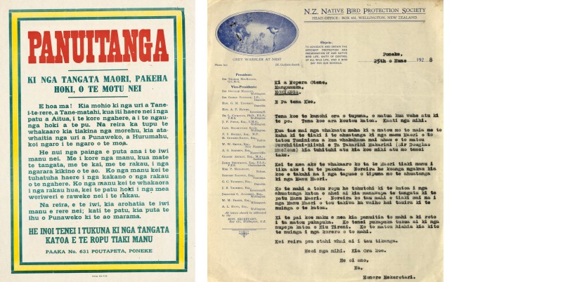 Forest & Bird's 1924 panui poster (left) and Val Sanderson's 1928 letter to Otene in te reo (right). Forest & Bird archives.