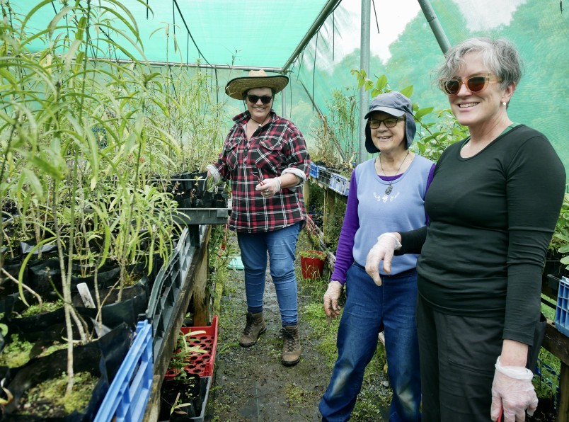 Kate Littin, Pam Nash, and Kate Riddell in the shade house. Credit Caroline Wood