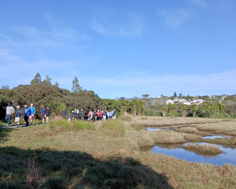 Forest & Bird-led community walk through wetlands in the project area. Credit Charlie Thomas