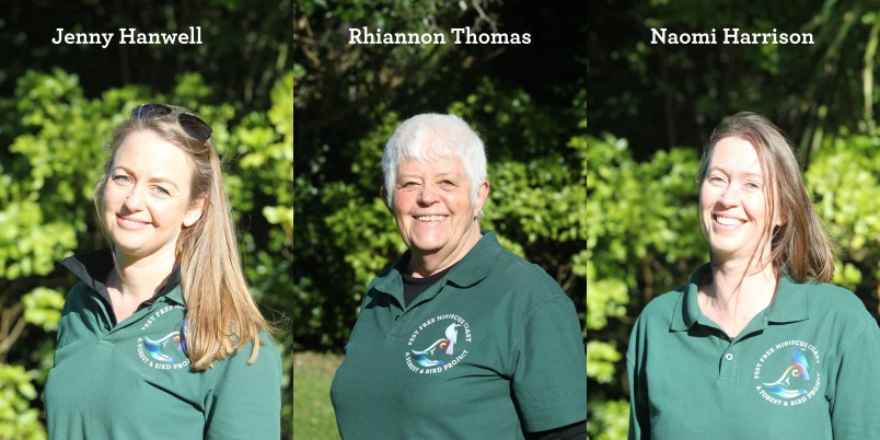 Pest Free Hibiscus Coast team members: Jenny, Rhiannon, and Naomi